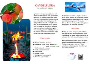 Candelflora Catalog 