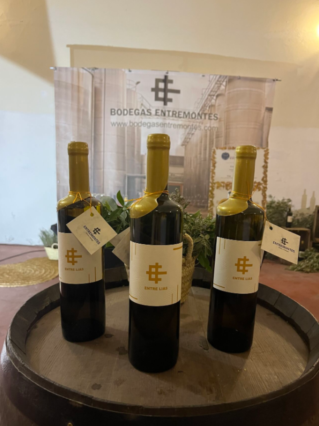 el-arte-del-diseno-para-un-vino-unico